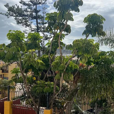 Pipa Apartments Almunecar Exterior photo